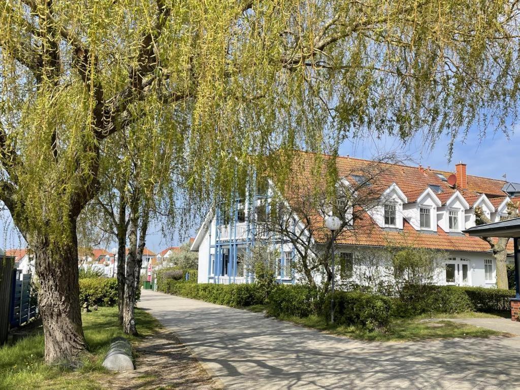 Fewo 27 Strandnahe Ferienwohnung Marlyn レリク エクステリア 写真